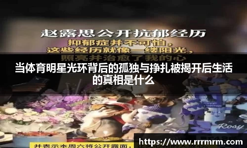 星空体育(中国)官方网站